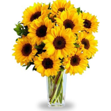 High Quality Sunflowers arrangement