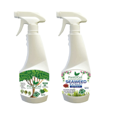 Organic Neem Oil Pesticide