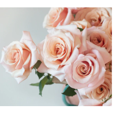 Peachy Pink Mother of Pearl...